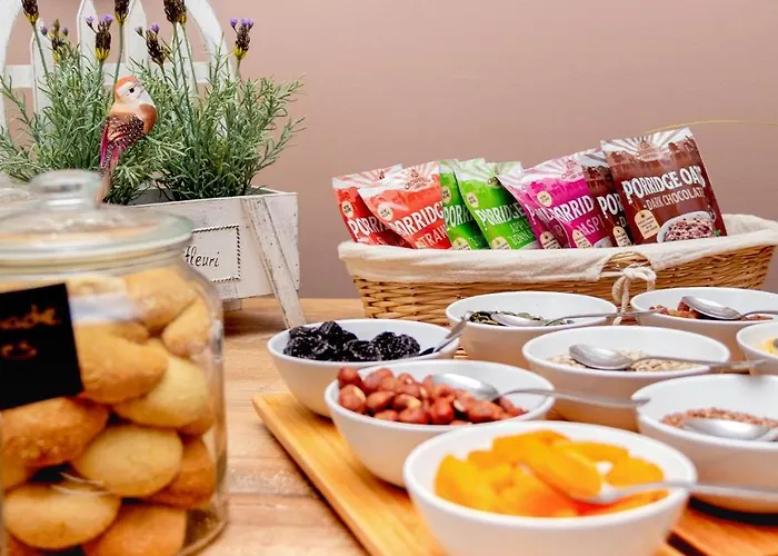 فندق غارني مينت