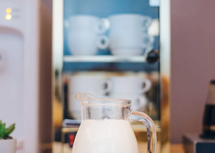 غارني مينت فندق